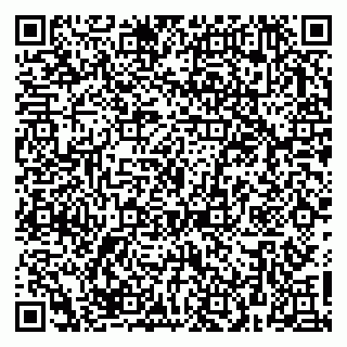 vCard 79623980385