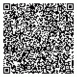 vCard 79623980387