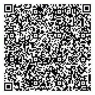 vCard 79623980394