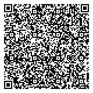 vCard 79623980397