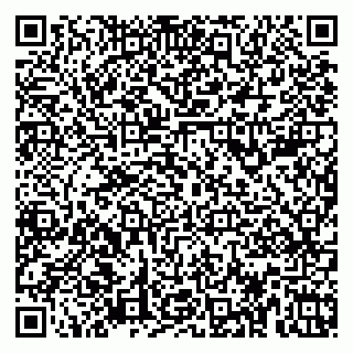 vCard 79623981001