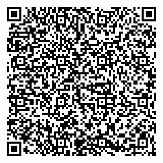 vCard 79623981107