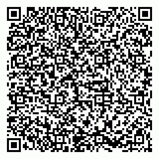 vCard 79623981133