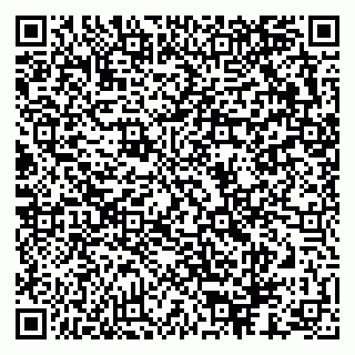 vCard 79624003739