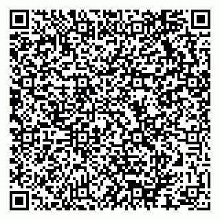vCard 79624037390