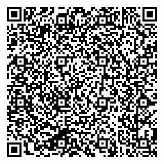 vCard 79624040331