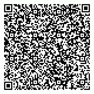 vCard 79624042103