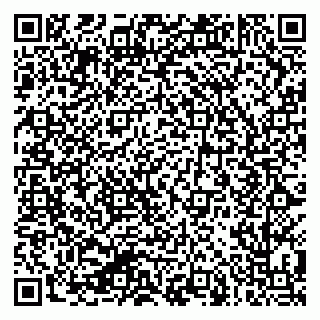 vCard 79624044352