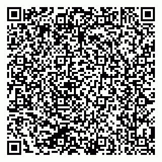 vCard 79624045313