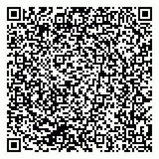 vCard 79624048403