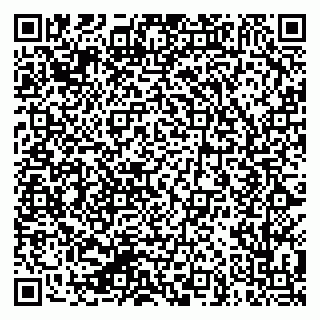 vCard 79624048673