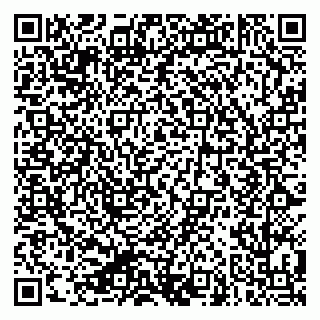 vCard 79624050331