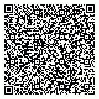 vCard 79624050899