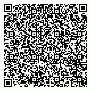 vCard 79624057331