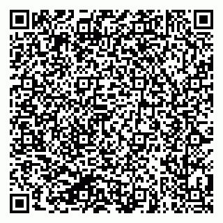 vCard 79624059335