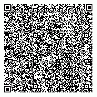 vCard 79624060403
