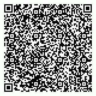 vCard 79624060733