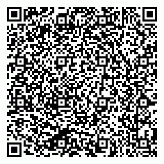 vCard 79624065303