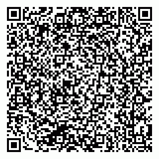 vCard 79624065313