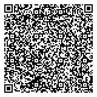 vCard 79624065411