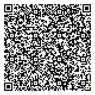 vCard 79624066097