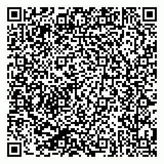 vCard 79624067331