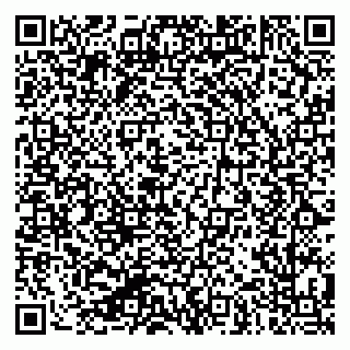 vCard 79624070387
