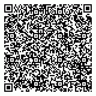 vCard 79624074331