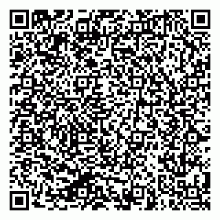vCard 79624078131