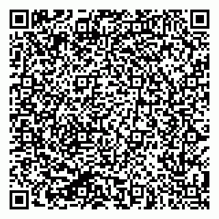 vCard 79624090540
