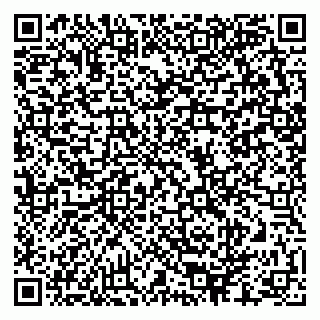 vCard 79624090807