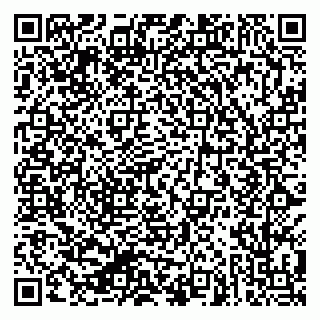 vCard 79624093733