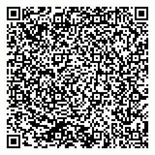 vCard 79624094131