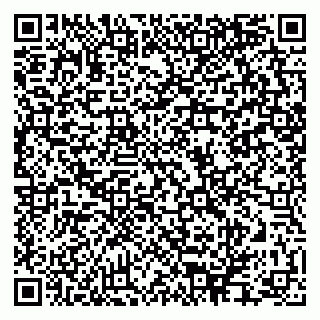 vCard 79624095296