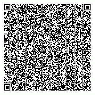 vCard 79624095989