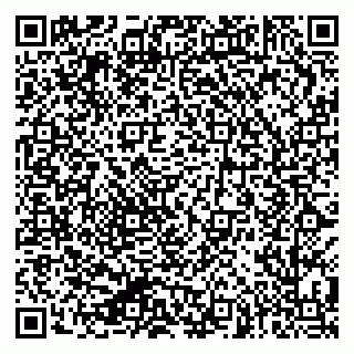 vCard 79624096355