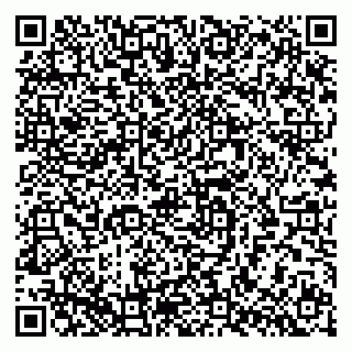 vCard 79624097231