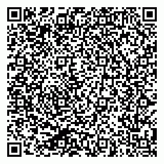 vCard 79624098003