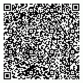 vCard 79624098335