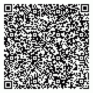 vCard 79624099581
