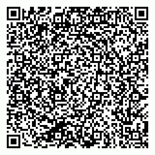 vCard 79624101063
