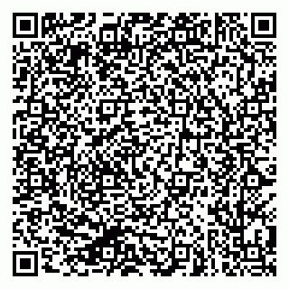 vCard 79624101331