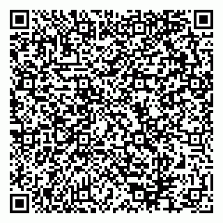 vCard 79624104131