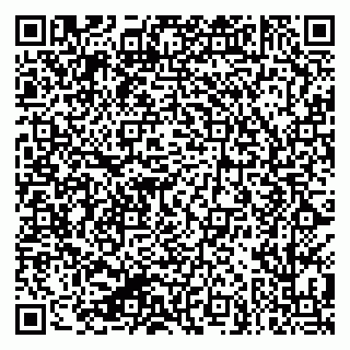 vCard 79624105331