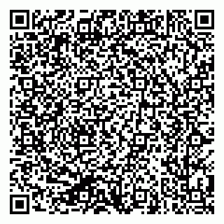vCard 79624110331
