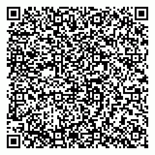 vCard 79624110987