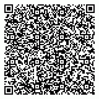 vCard 79624115331
