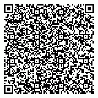 vCard 79624117331