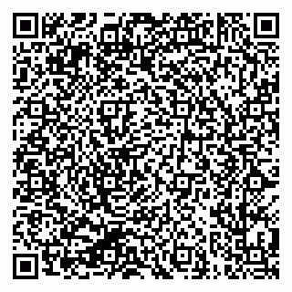 vCard 79624119331