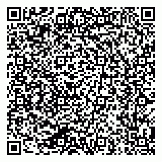 vCard 79624119403